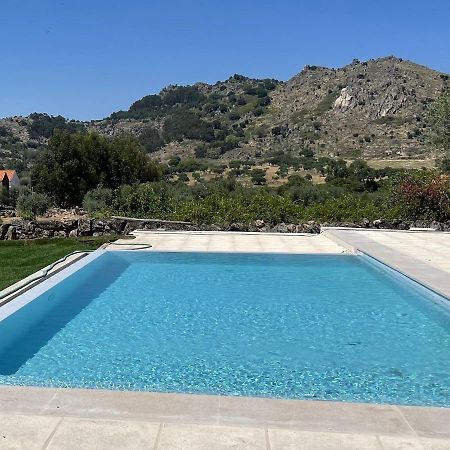 Casas Da Villa - Monsanto - Oliveira E Videira Relva  Exterior foto